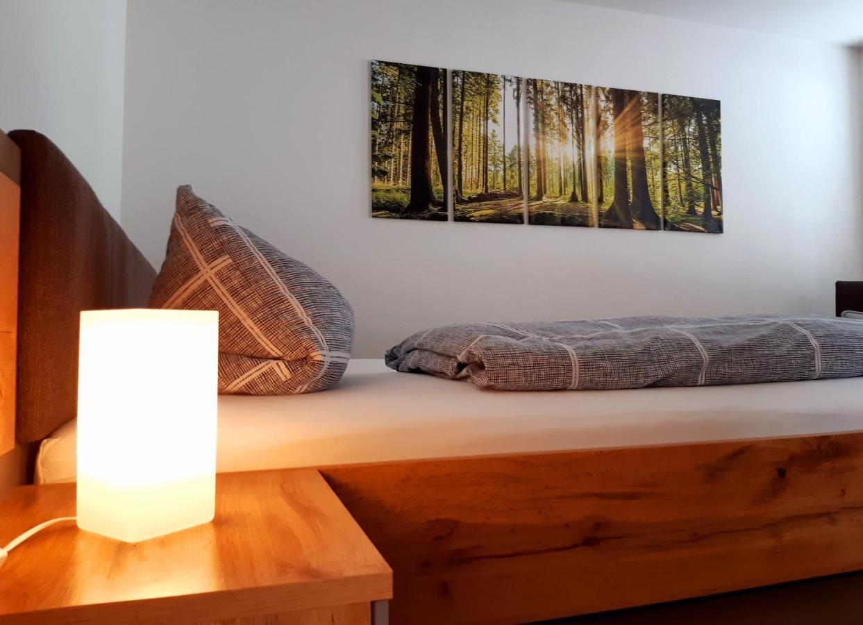 Stadtoase Geraeumige Gaestewohnungen Mit Balkon, Komfort, Modernitaet Und Ruhe, Fuer Monteure Geeignet, Free Wifi Frankenberg Екстериор снимка